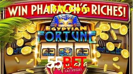 55Bet Salvador - Statistics